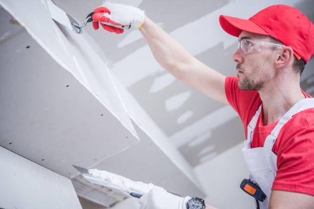 Best Ceiling Drywall Installation  in Noblesville, IN